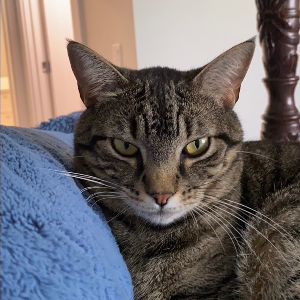 Meet your Posher, Emma